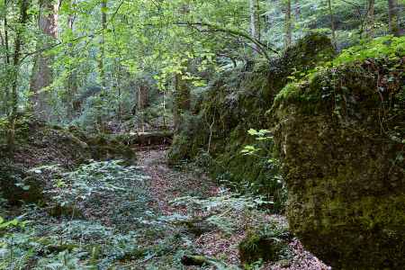 Image 10